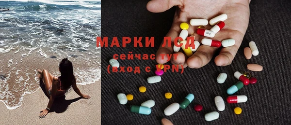 сатива Нязепетровск