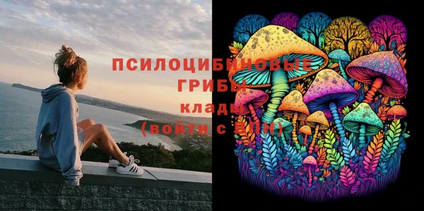 стаф Остров
