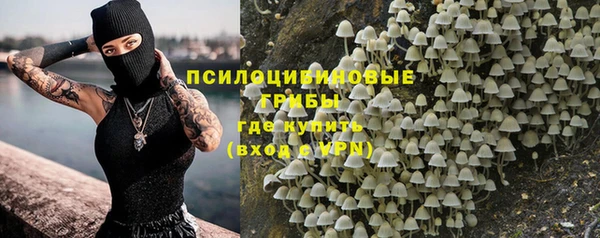 тгк Осинники
