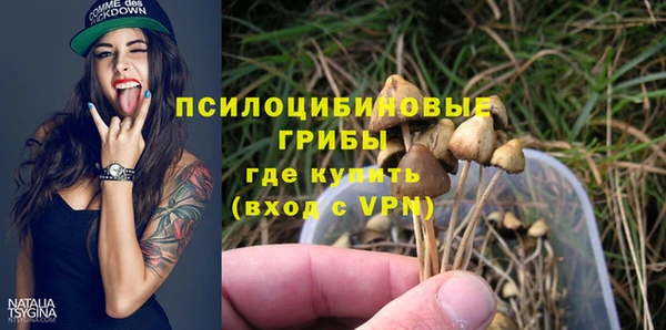 сатива Нязепетровск