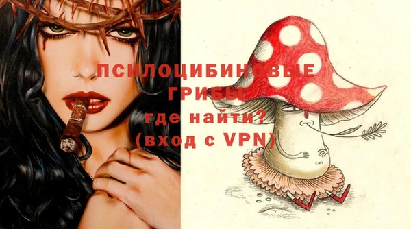 герыч Няндома