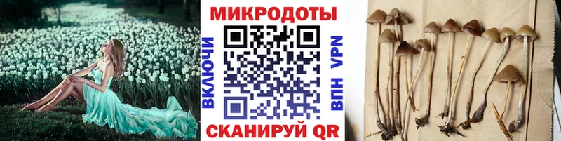 Псилоцибиновые грибы ЛСД  купить  сайты  Белоозёрский 